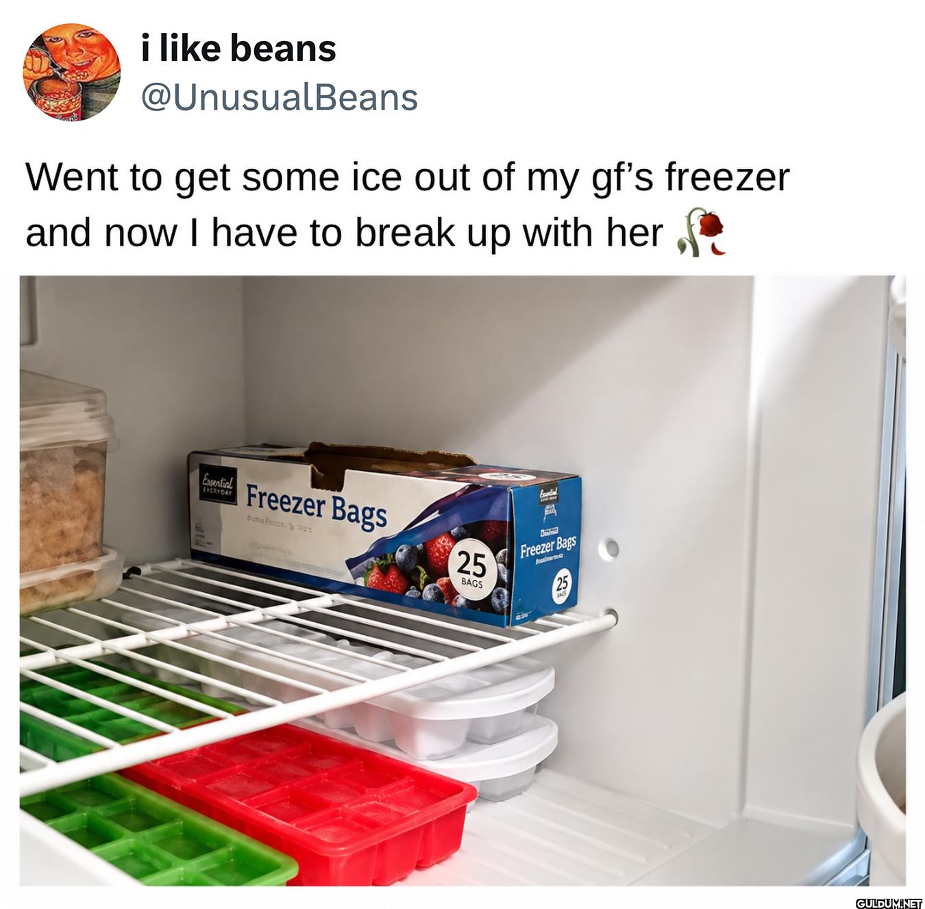 Went to get some ice out...