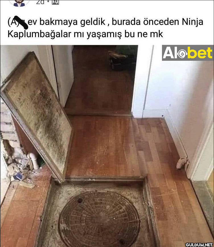 (Aev bakmaya geldik,...