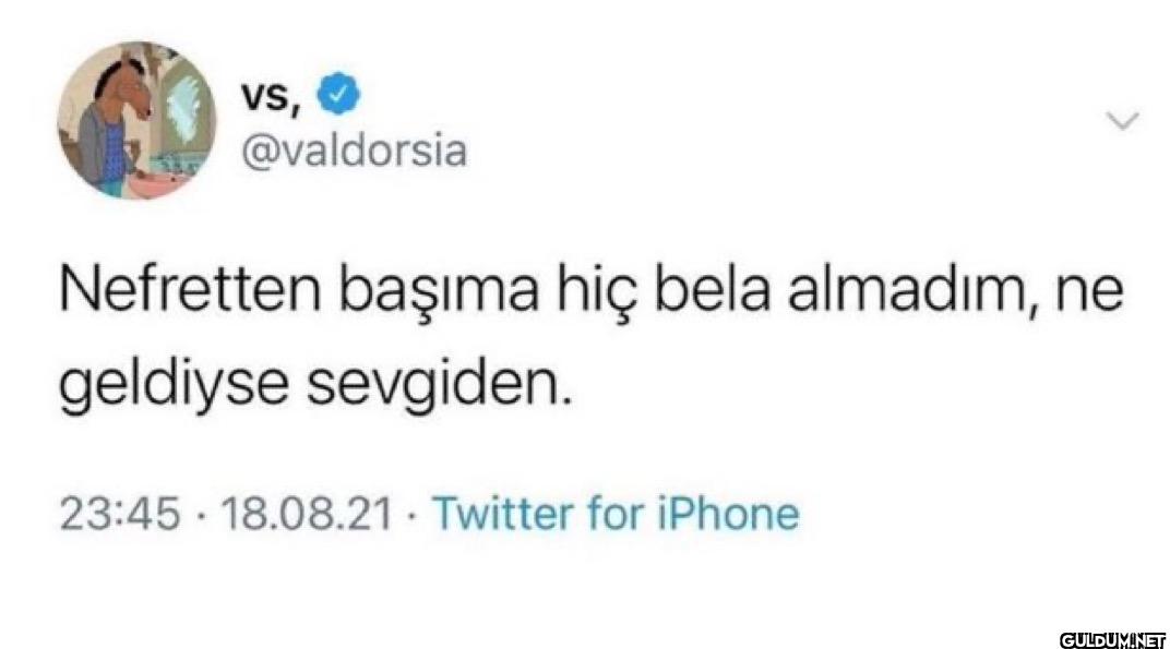 Nefretten başıma hiç bela...