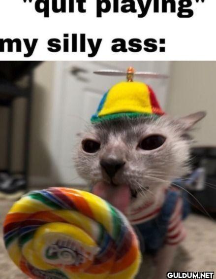 quit playing my silly ass
