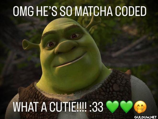 OMG HE'S SO MATCHA CODED...