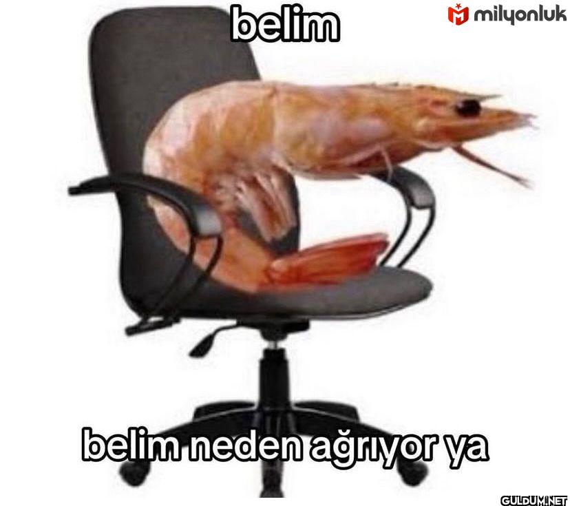 belim Mmilyonluk belim...