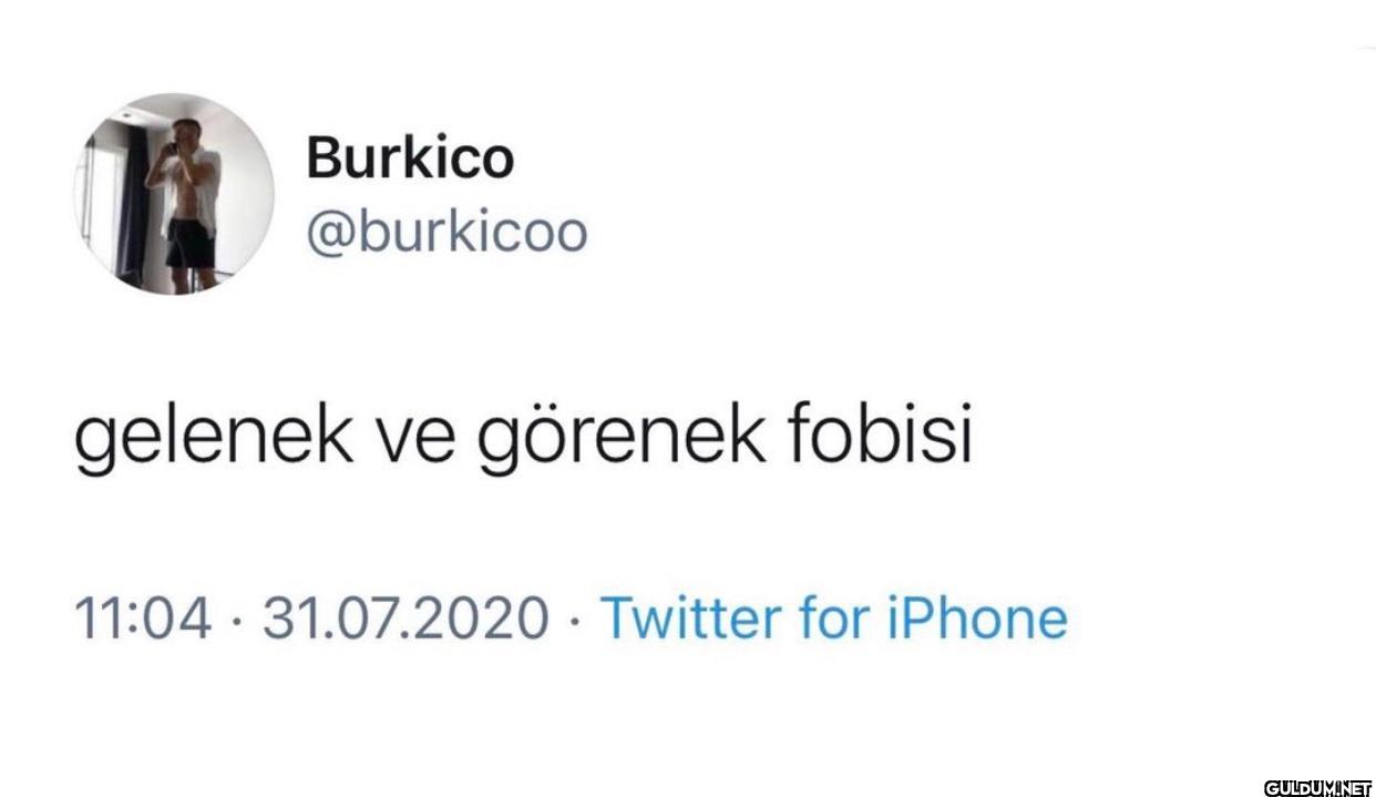 gelenek ve görenek fobisi...