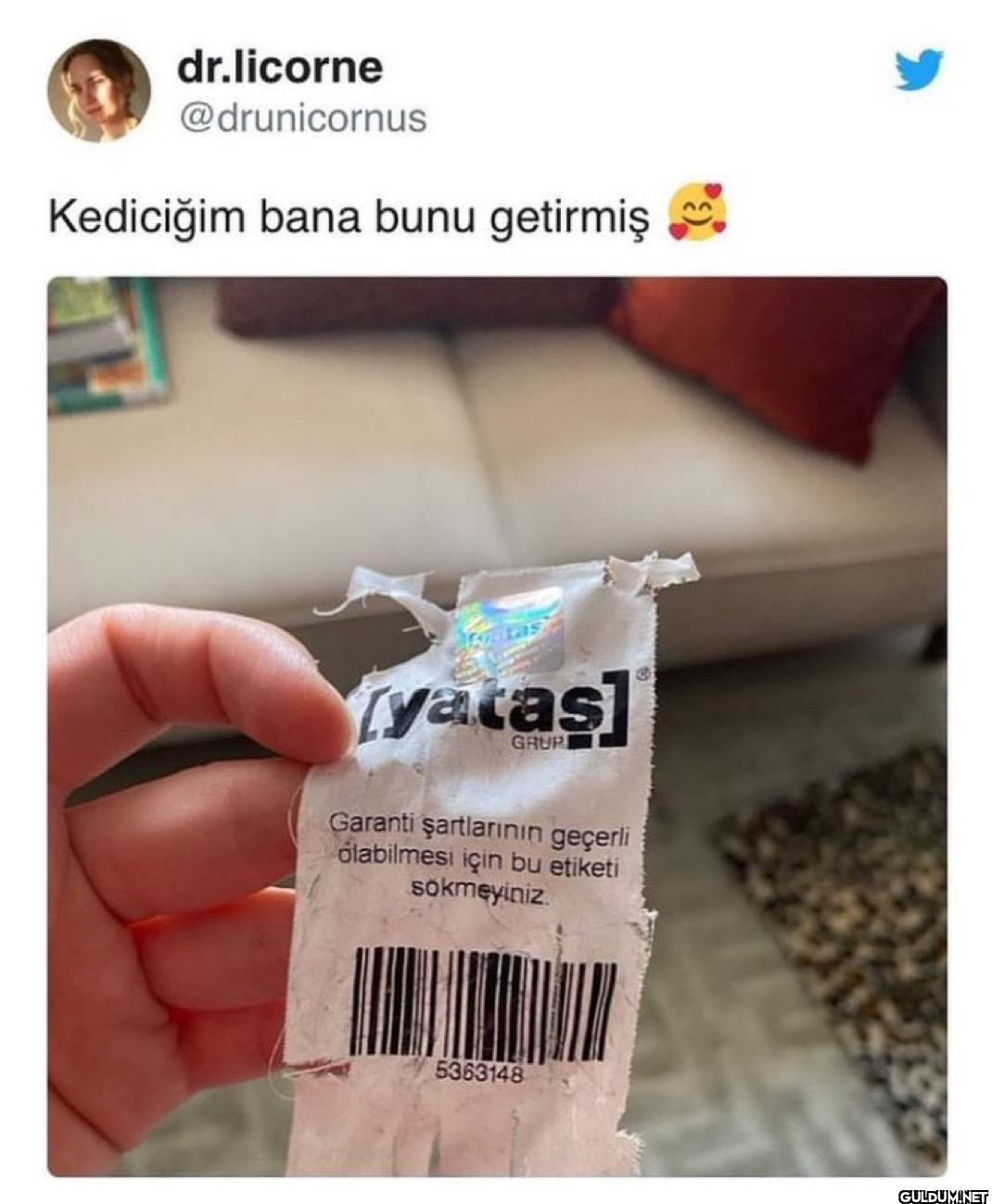 Kediciğim bana bunu...