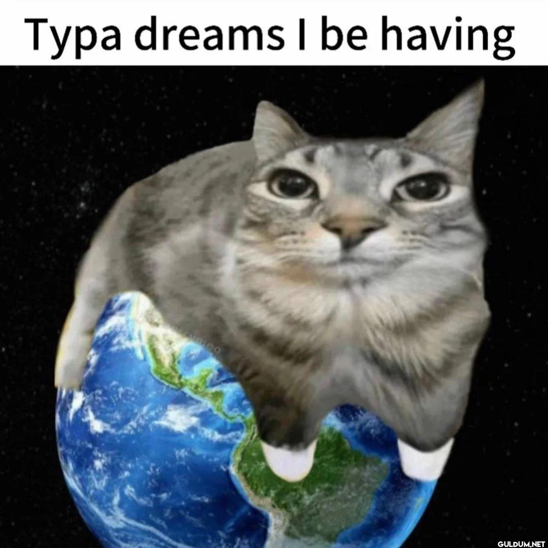 Typa dreams I be having