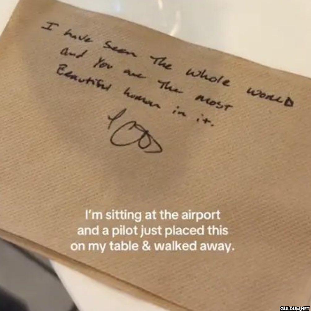ABD’de bir pilot, uçağına...