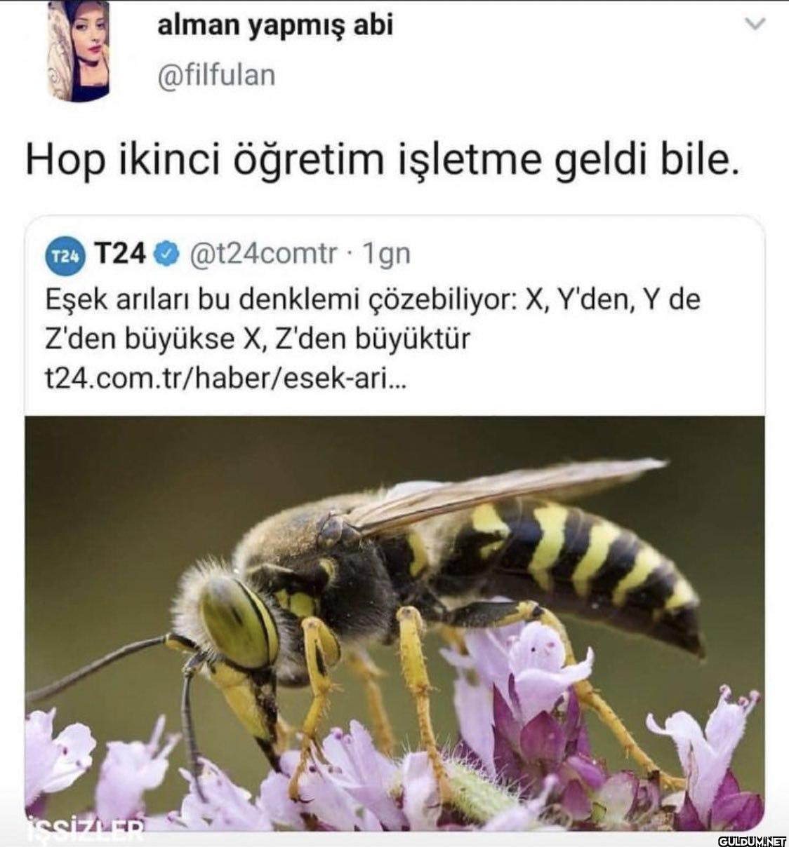 Hop ikinci öğretim işletme...