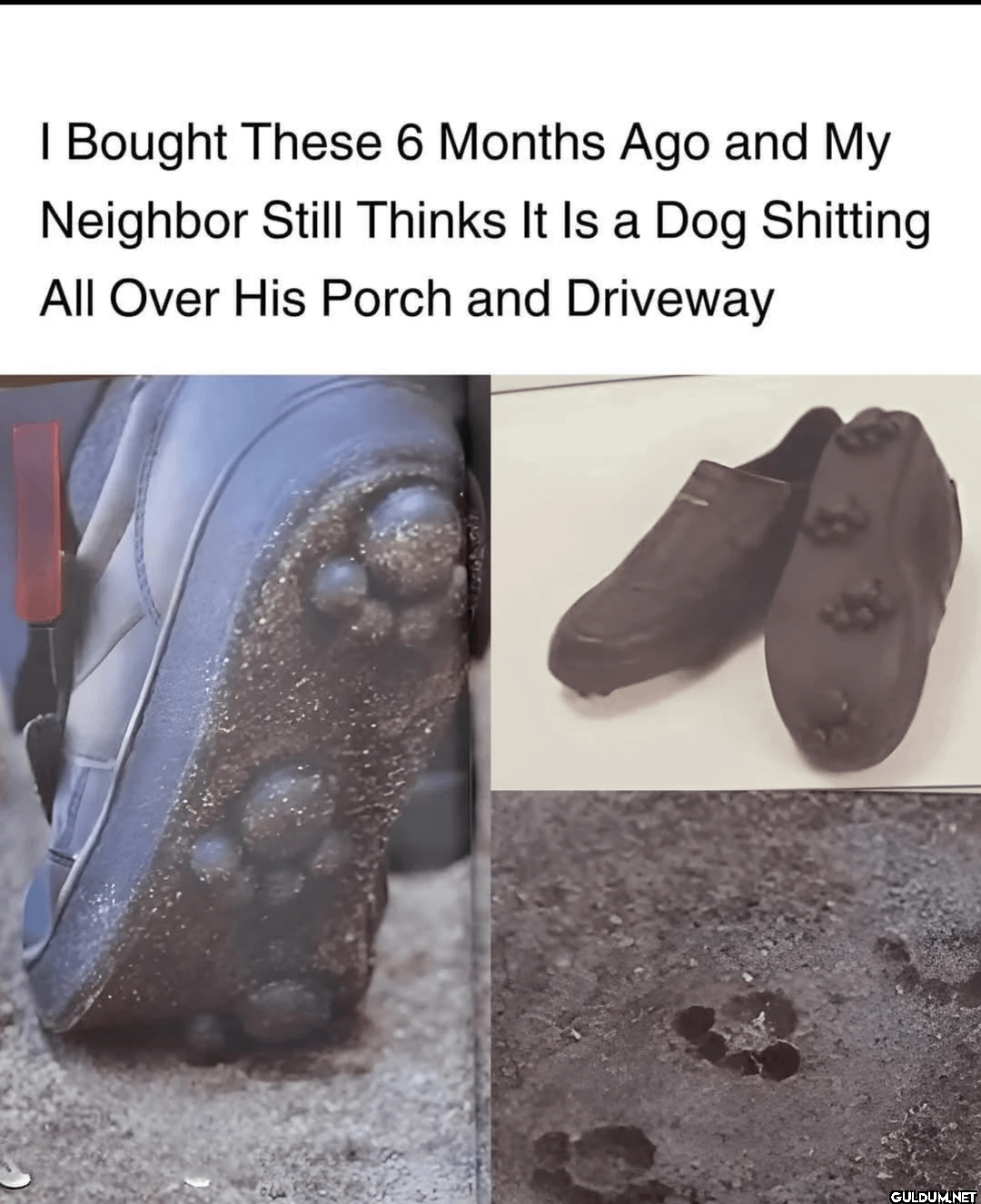 I Bought These 6 Months...