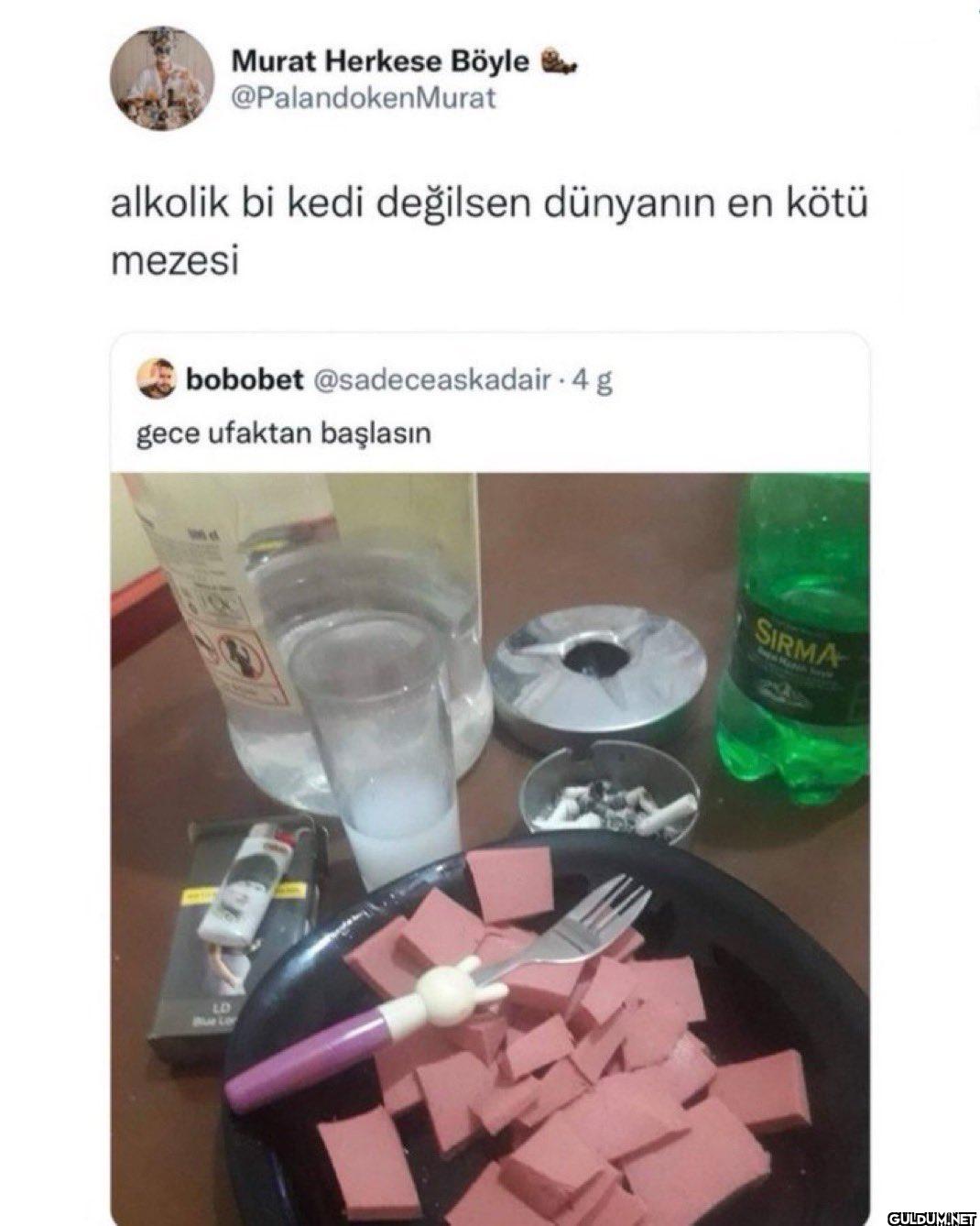 alkolik bi kedi değilsen...