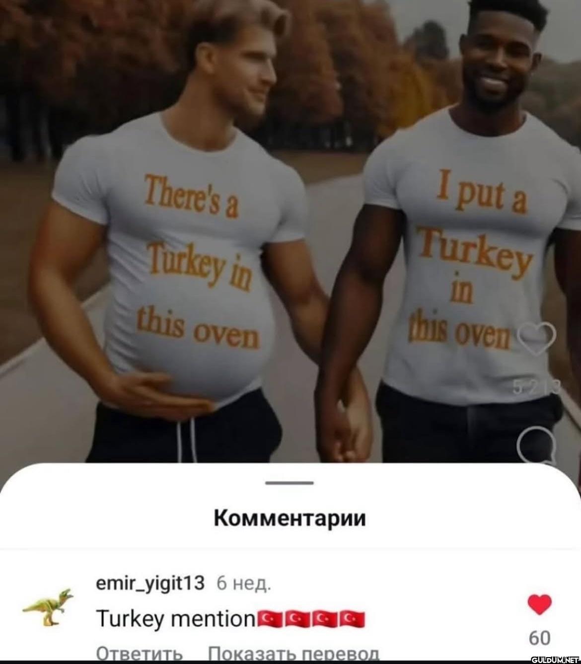 There's a Turkey in this...