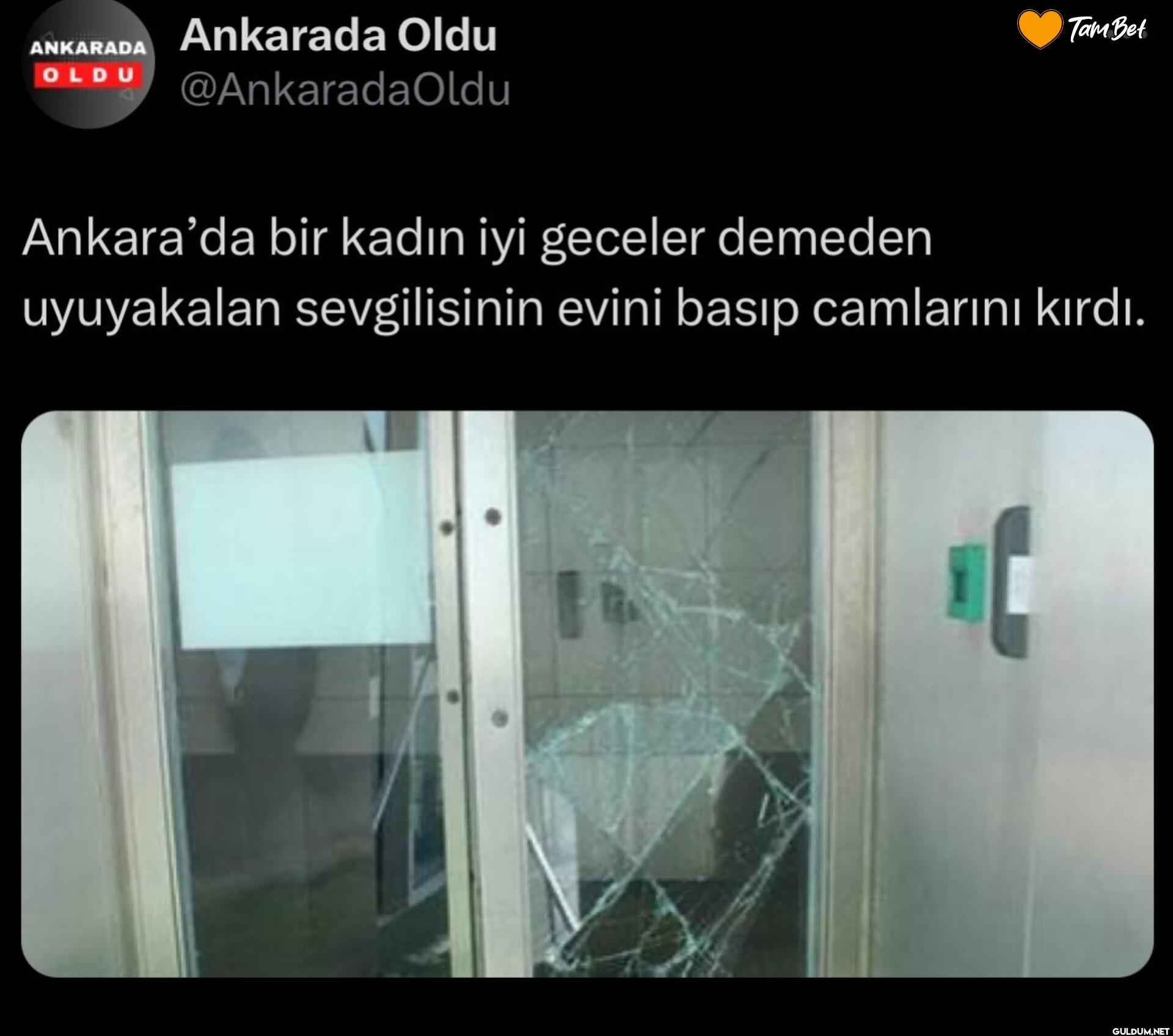 Tam Bet Ankara'da bir...