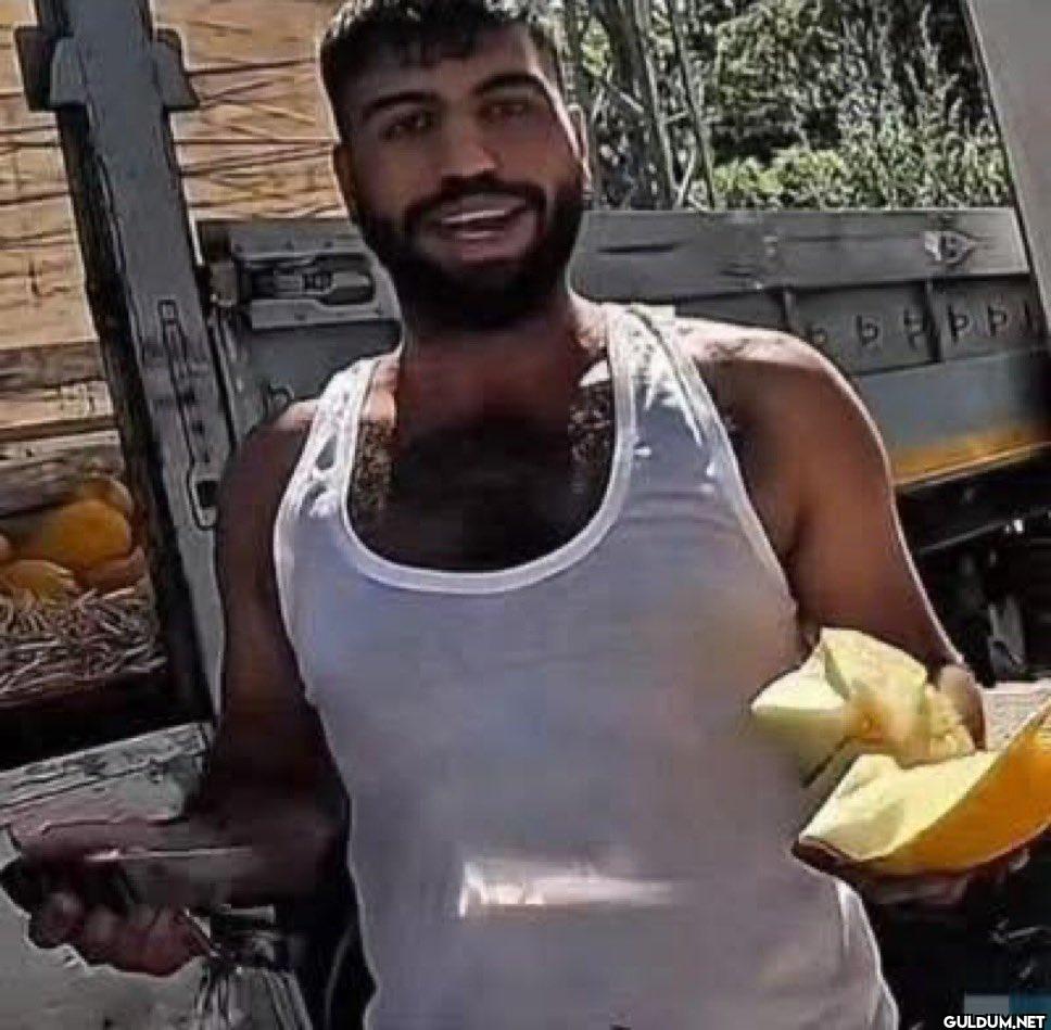 morpheus mavi kırmızı hap...