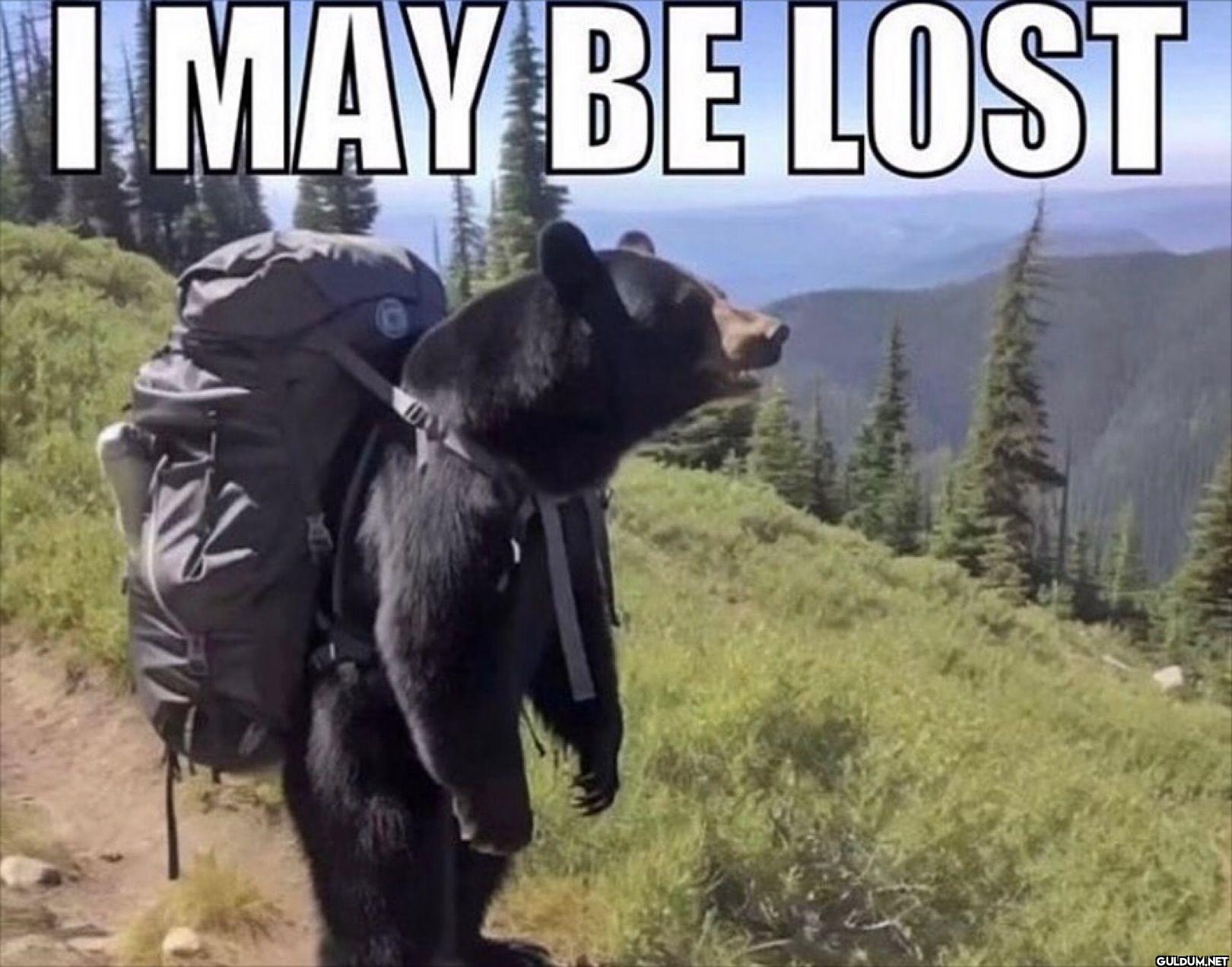 I MAY BE LOST