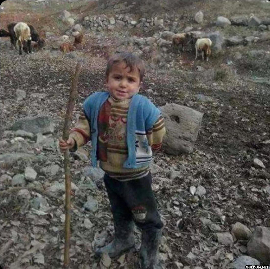 gs'den nefret etmemin...