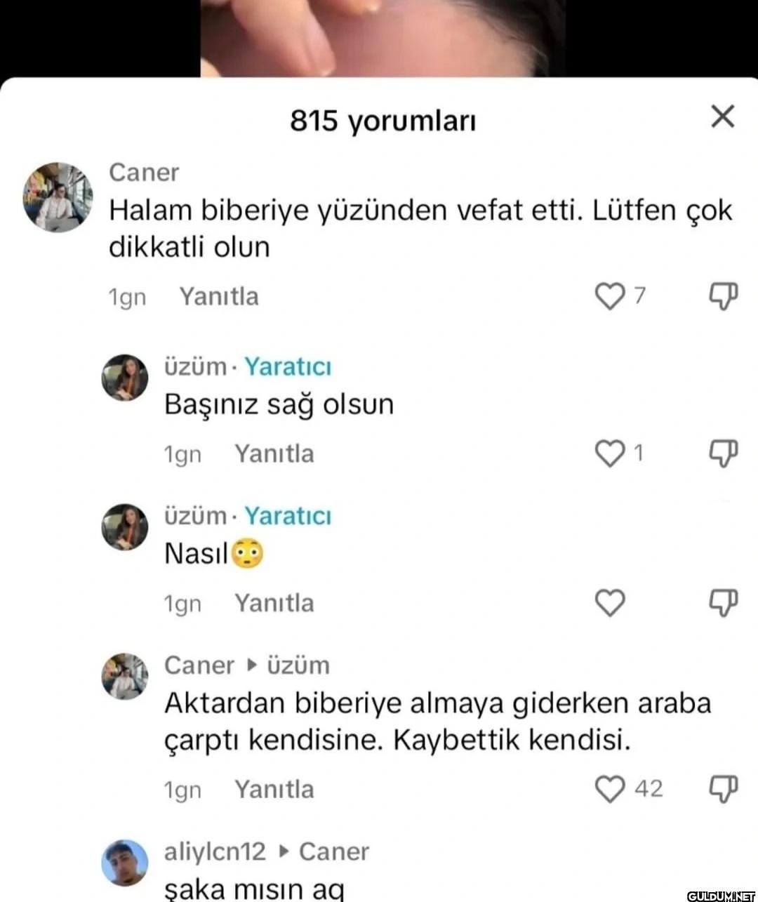Caner 815 yorumları Halam...