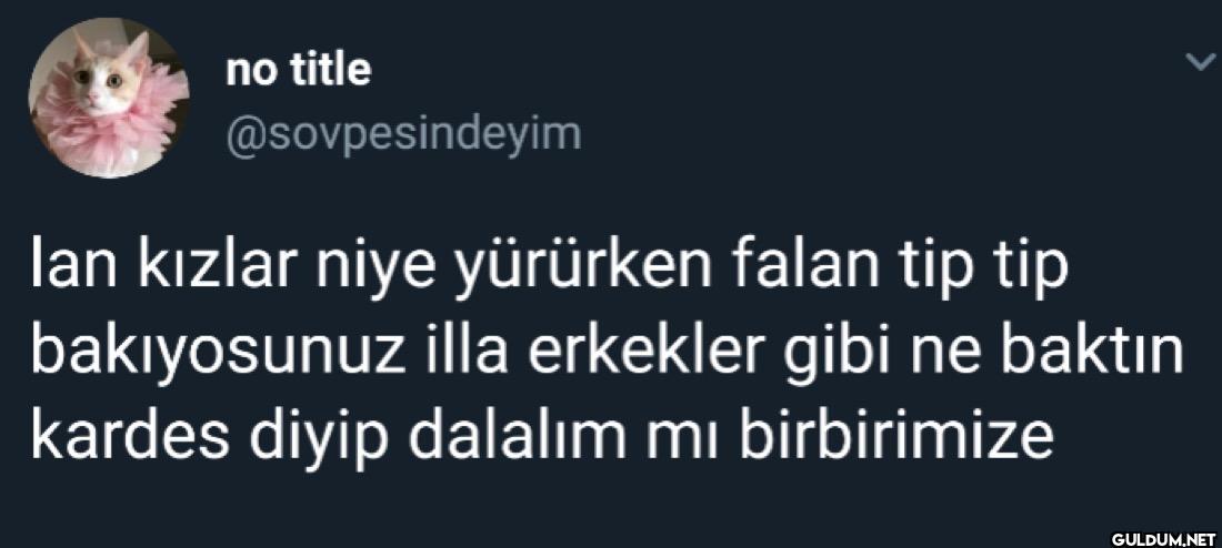 lan kızlar niye yürürken...
