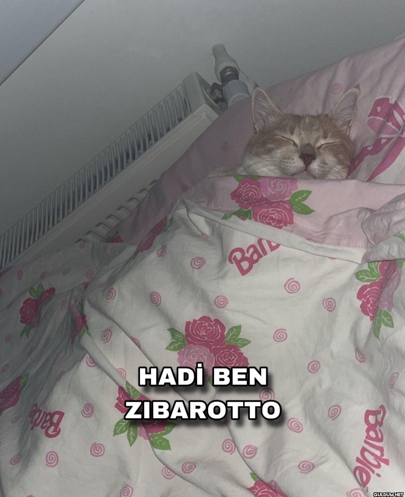Bar eveg HADİ BEN ZIBAROTTO Barbie