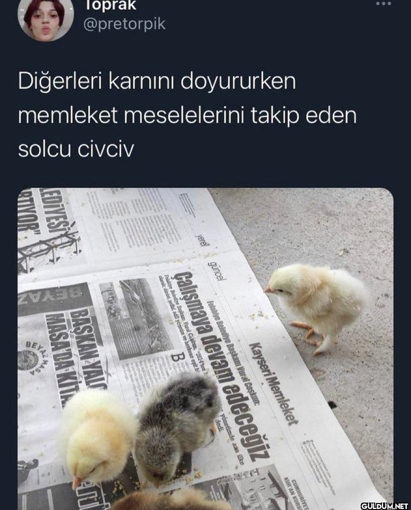 memleket meselelerini...