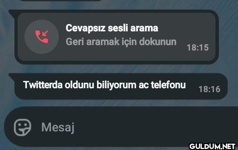 Cevapsız sesli arama Geri...