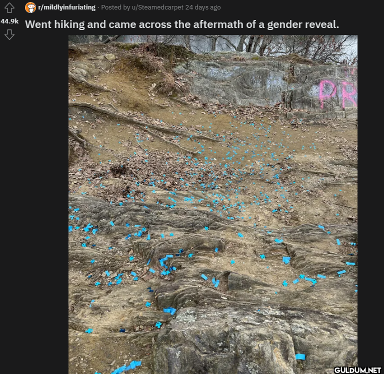 r/mildlyinfuriating Posted...