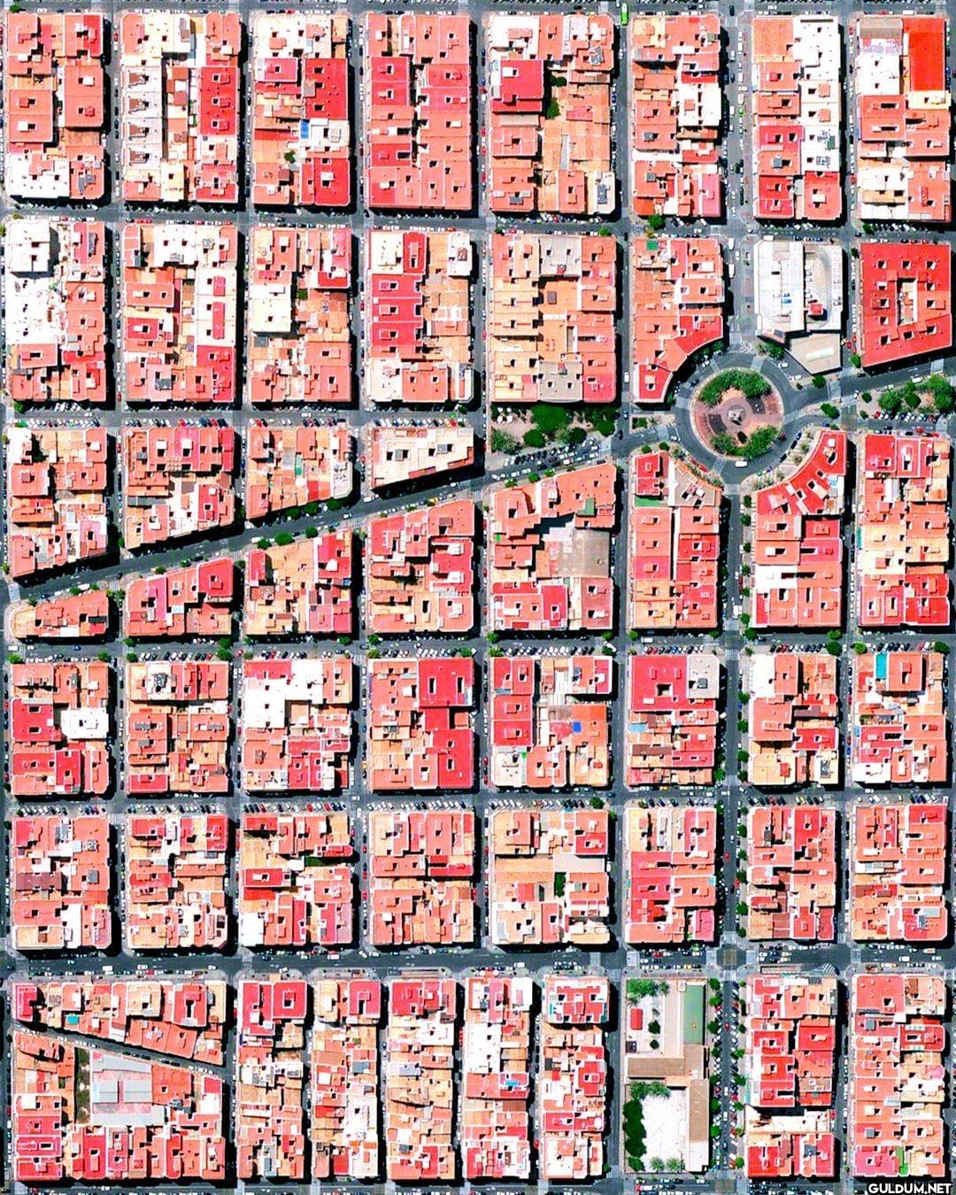7. Elche, Alicante 🇪🇸