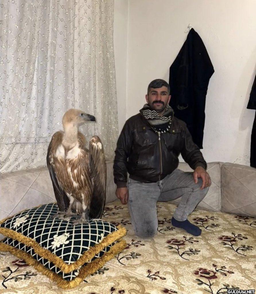 Viranşehir’de yakaladığı...