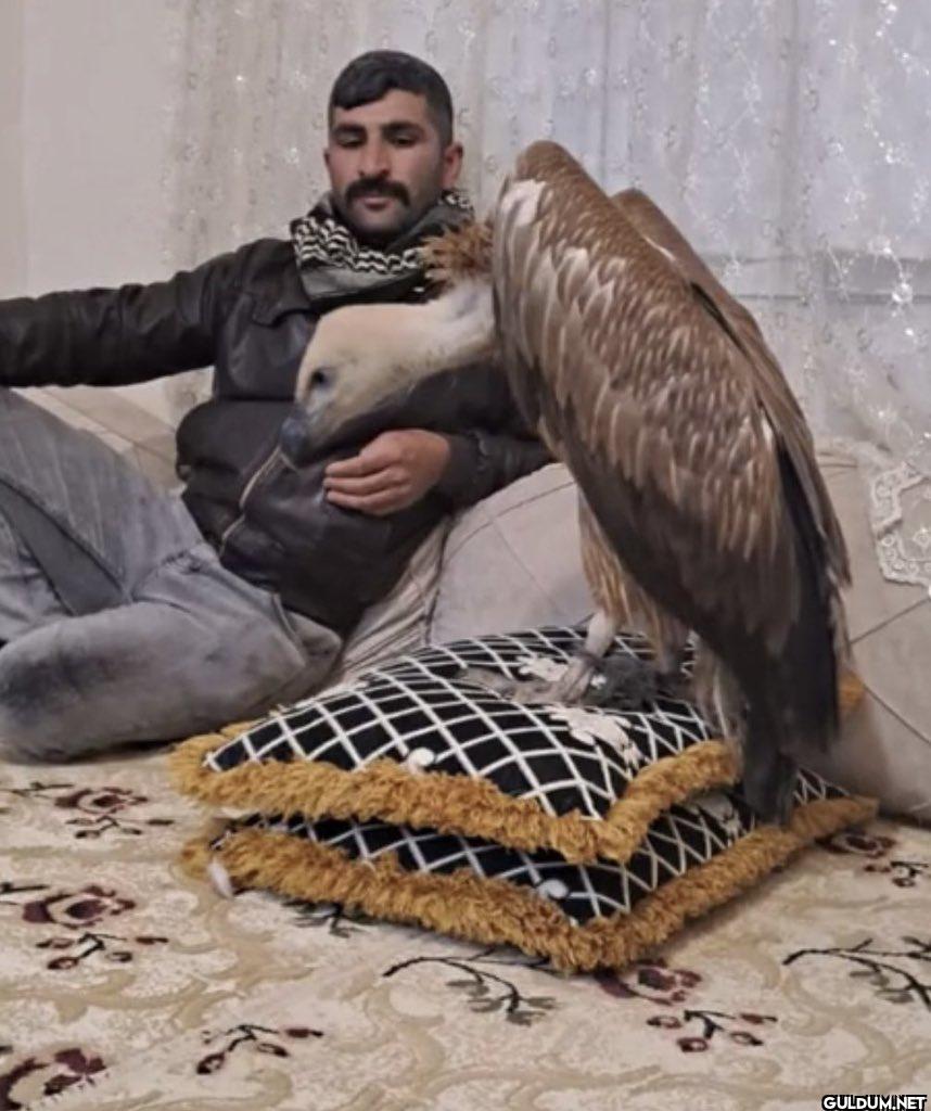 Viranşehir’de yakaladığı...