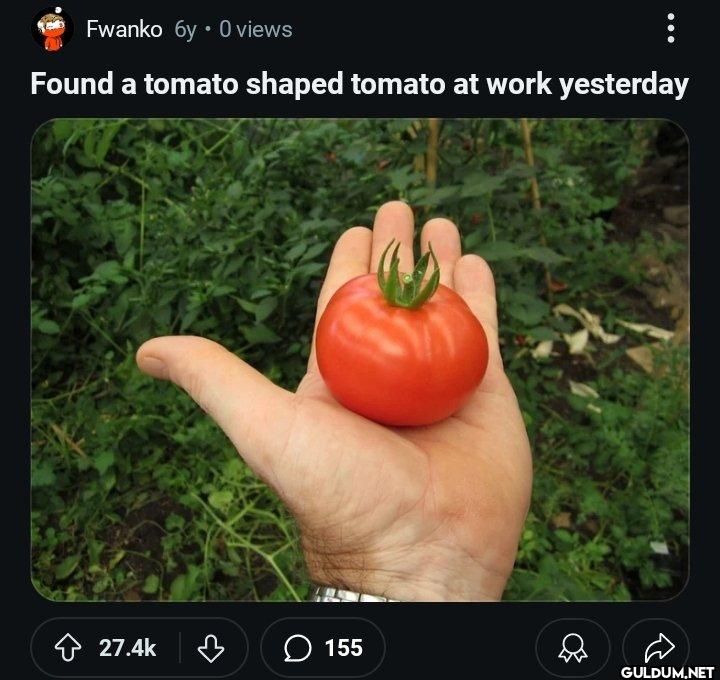 Fwanko 6y⚫0 views Found a...