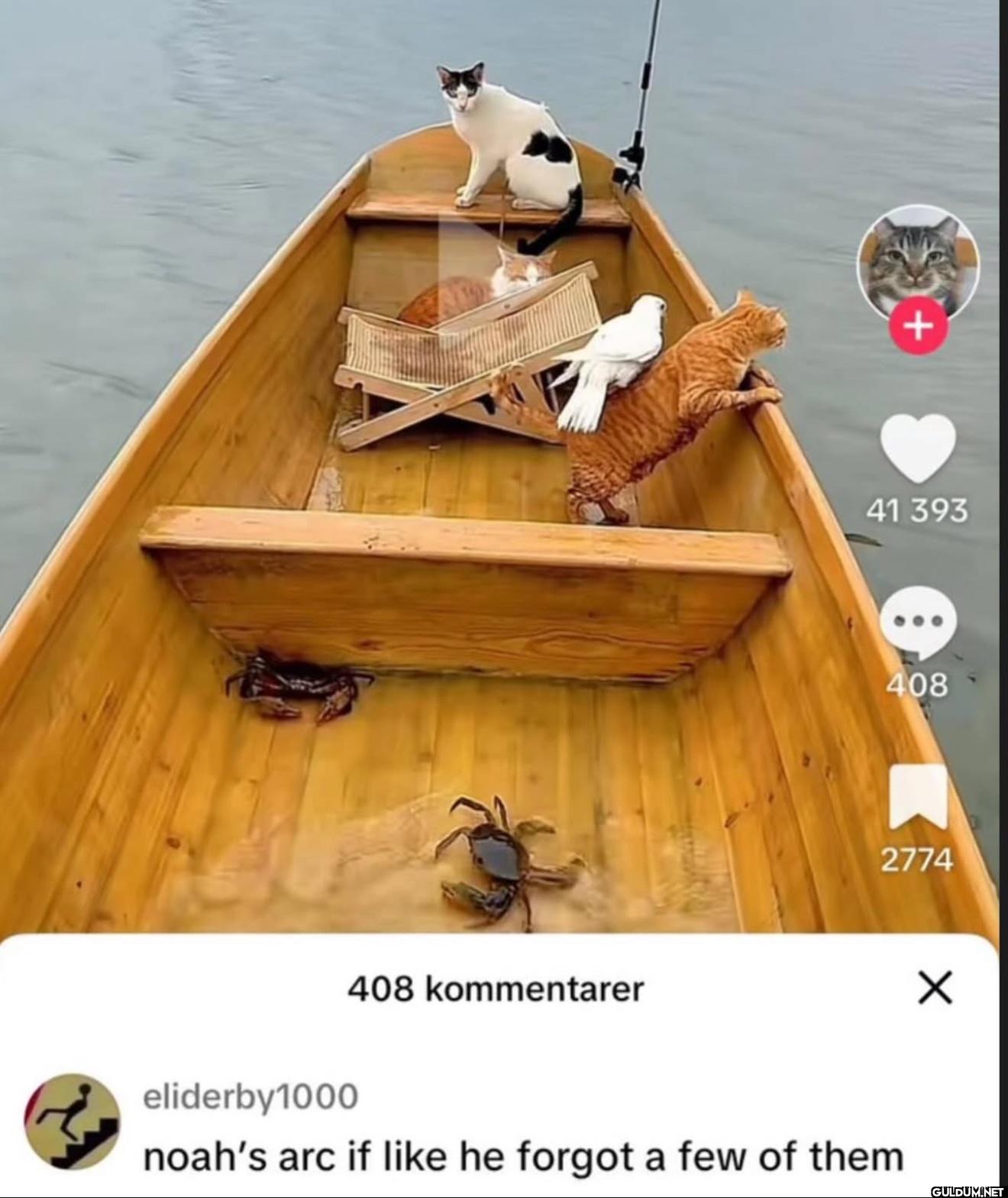 408 kommentarer 41 393 408...