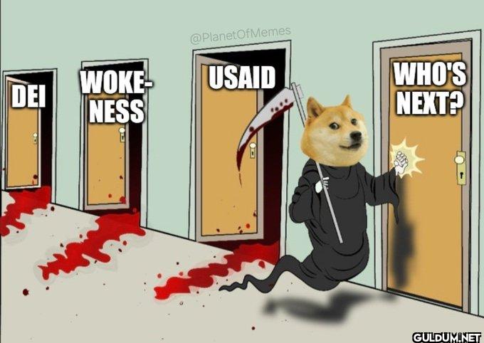 DE WOKE NESS IUSAID WHO'S NEXT?