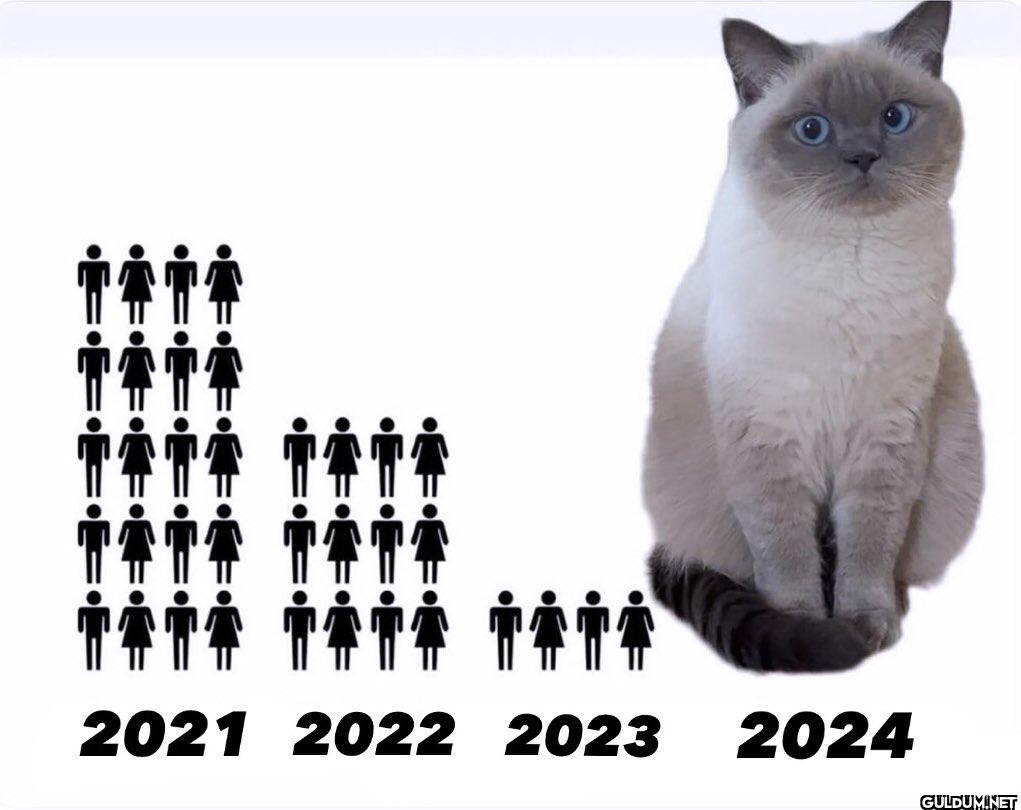 •E•E•E•E 2021 2022 2023 2024