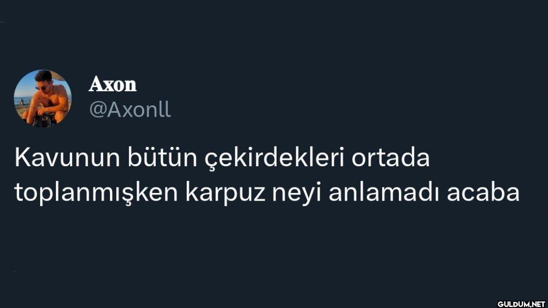 Kavunun bütün çekirdekleri...