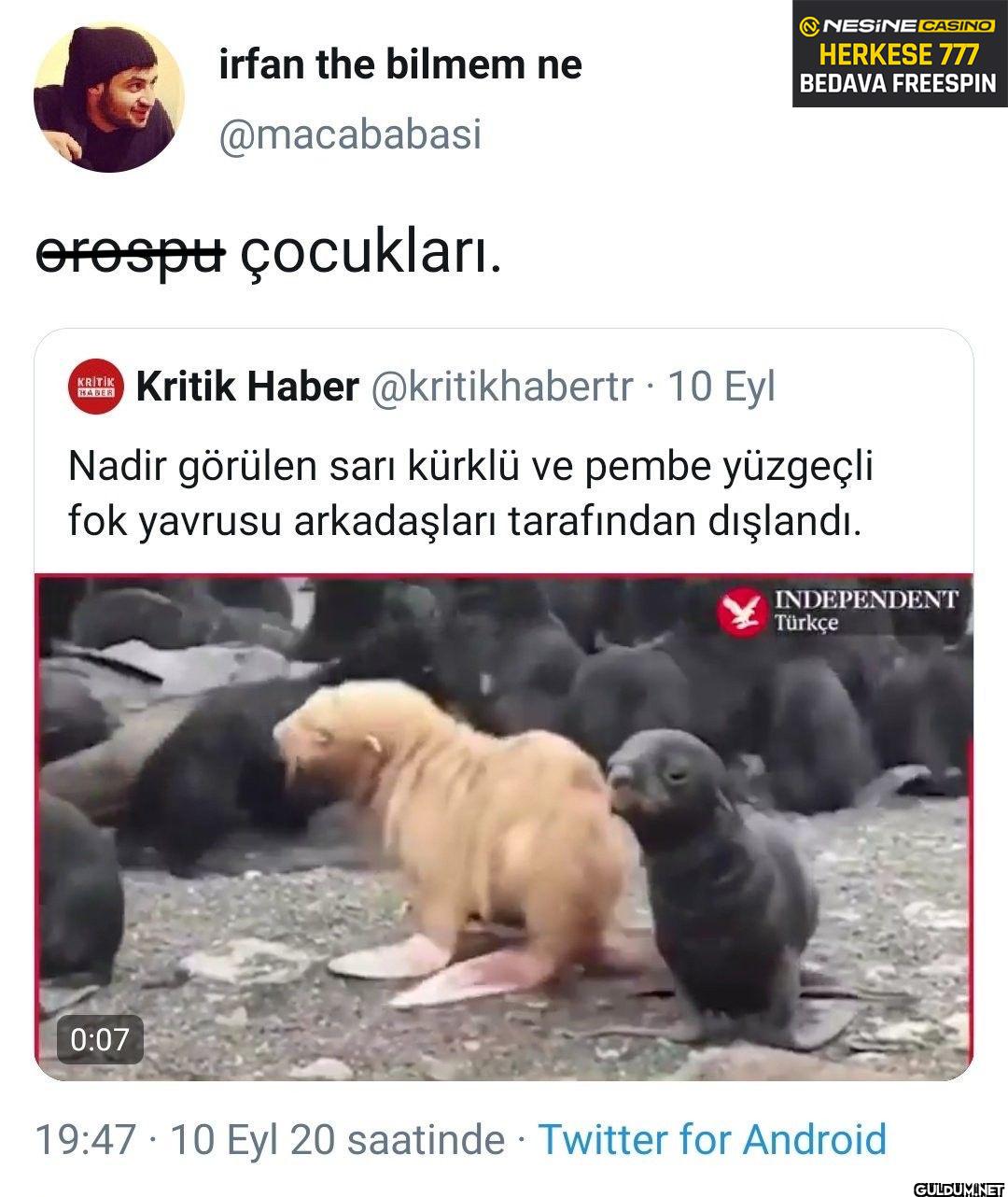 orospu çocukları. KRİTİK...