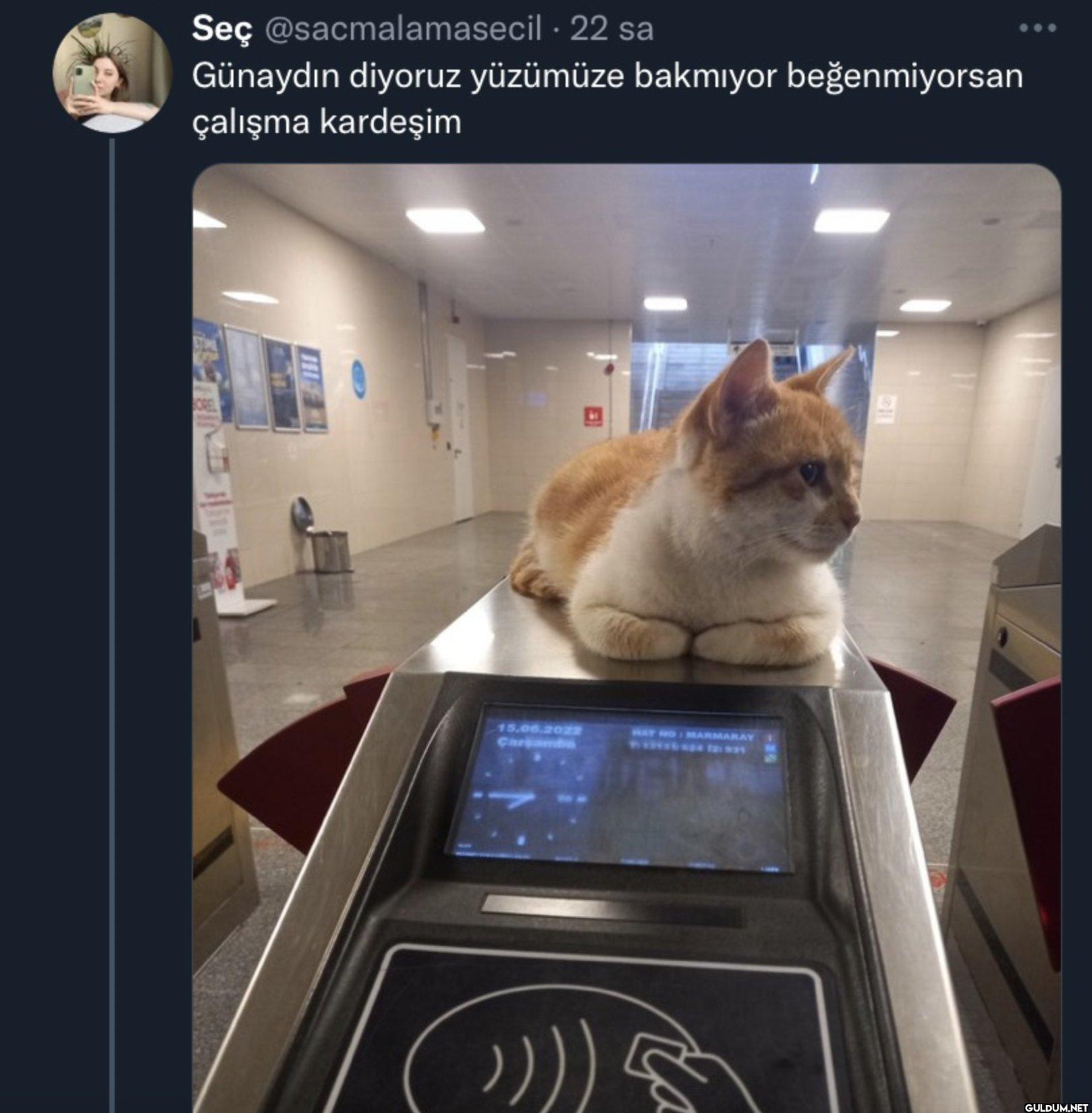 - 22 sa Günaydın diyoruz...