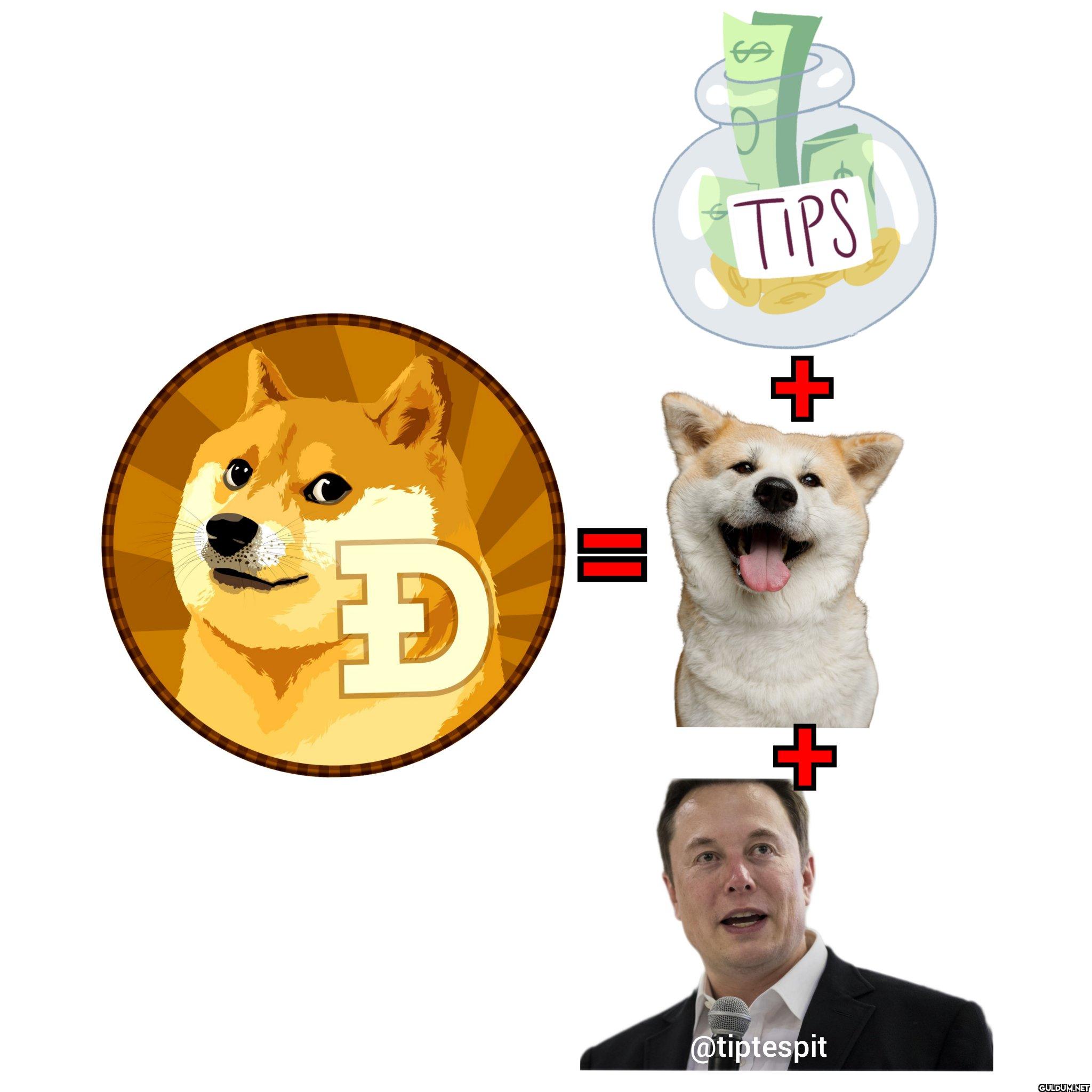 Bahşiş + Akita Inu + Elon...