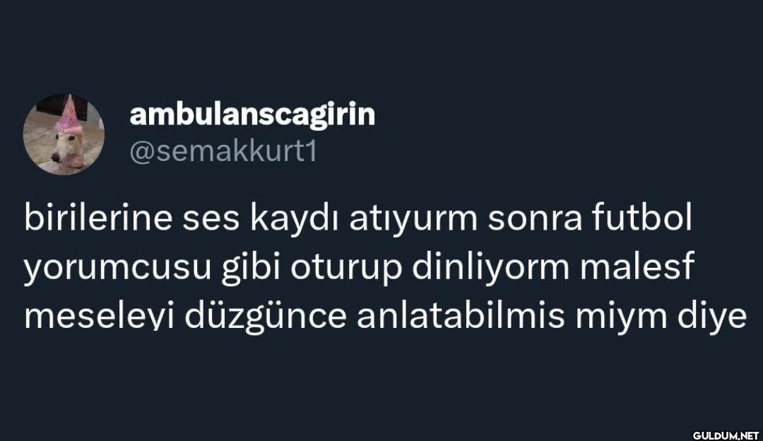 birilerine ses kaydı...