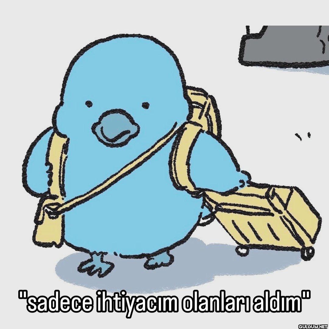 "sadece ihtiyacım olanları aldım"