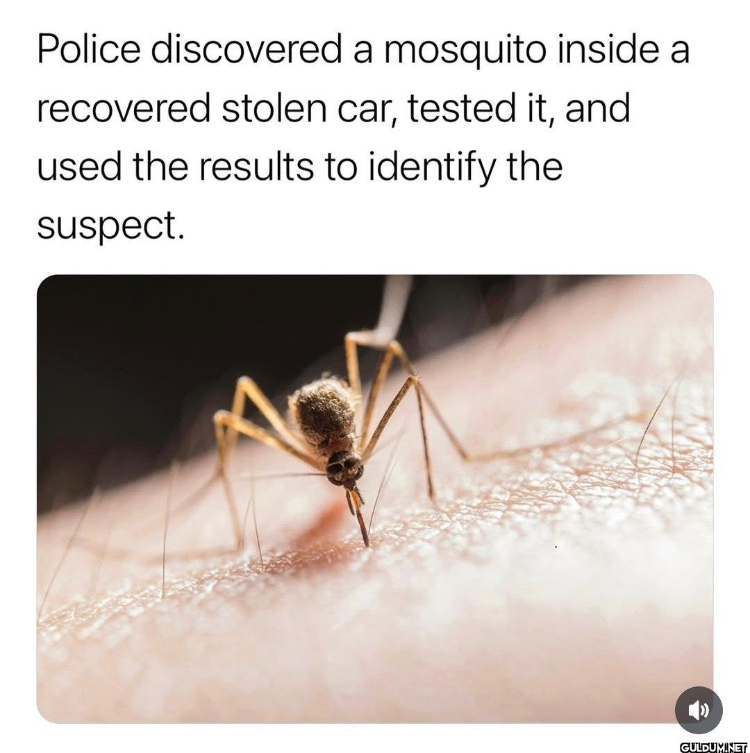 🤯    Police discovered a...