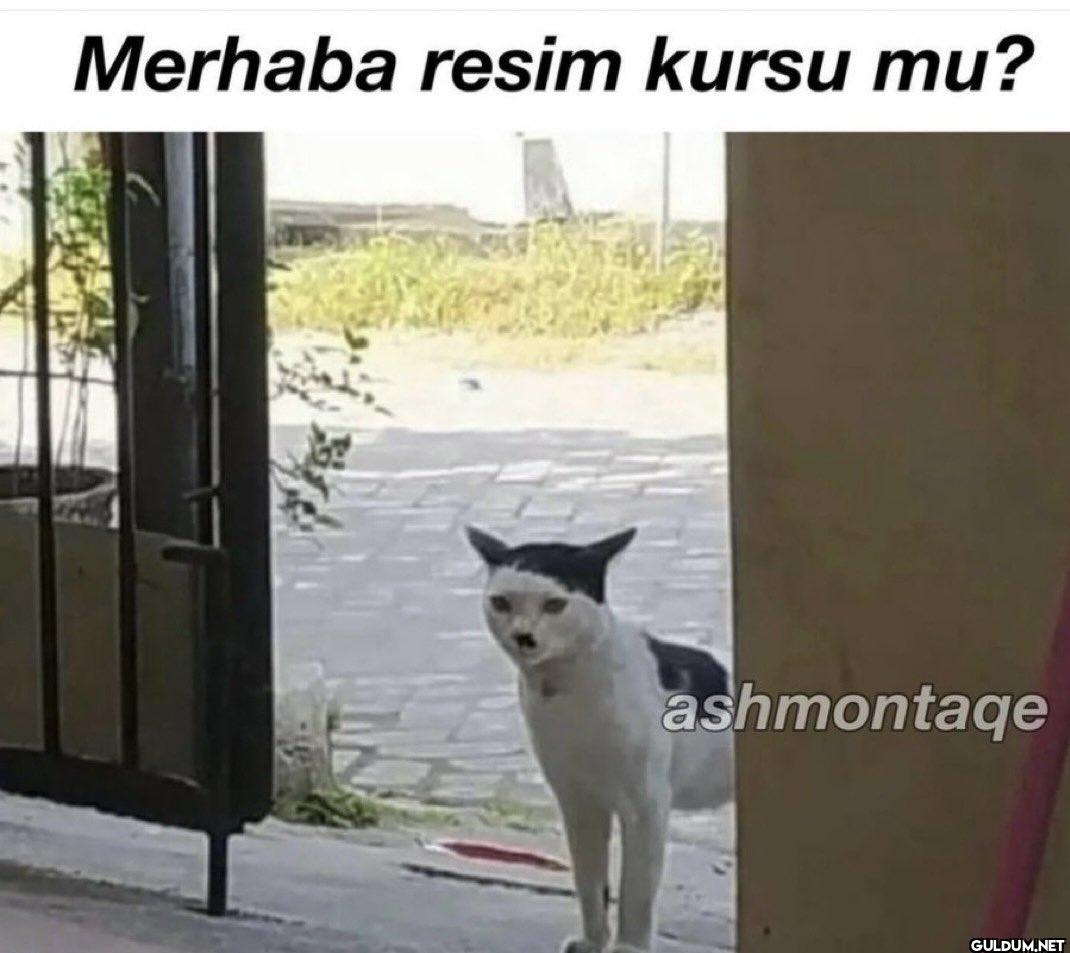 Merhaba resim kursu mu? ashmontage