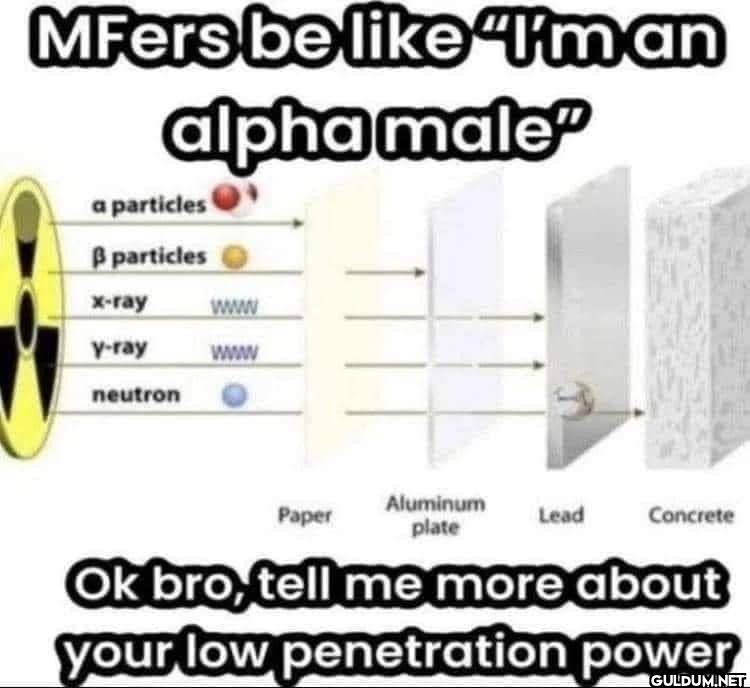 MFers be I'm an alpha male...