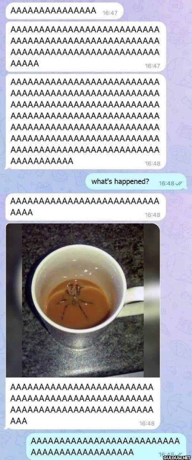 AAAAAAAAAAAAAAA 16:47...