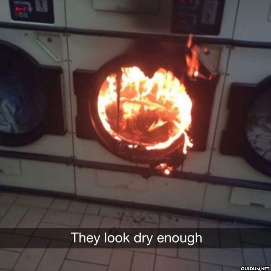 They look dry enough