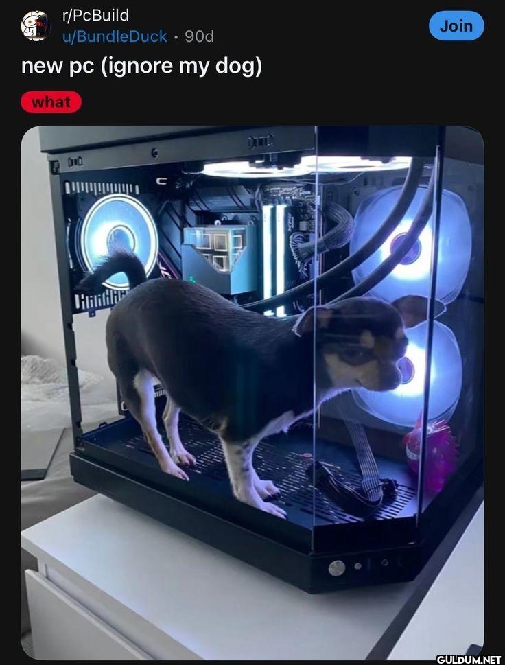 u BundleDuck 90d new pc...