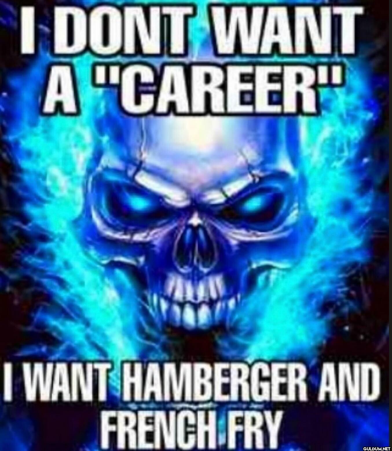I DONT WANT A CAREER I...