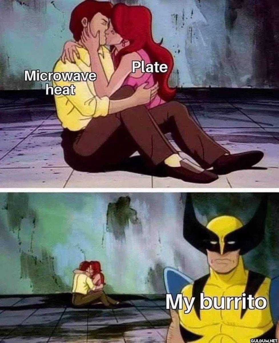 Plate Microwave heat My burrito