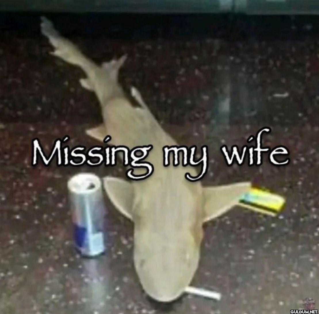 Missing my wife