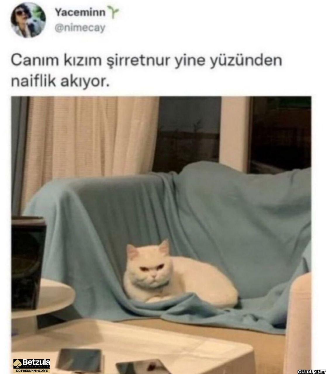 Canım kızım şirretnur yine...