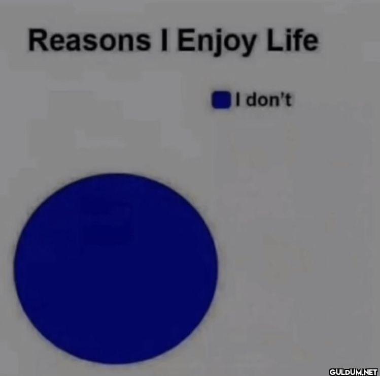 Reasons I Enjoy Life I don't