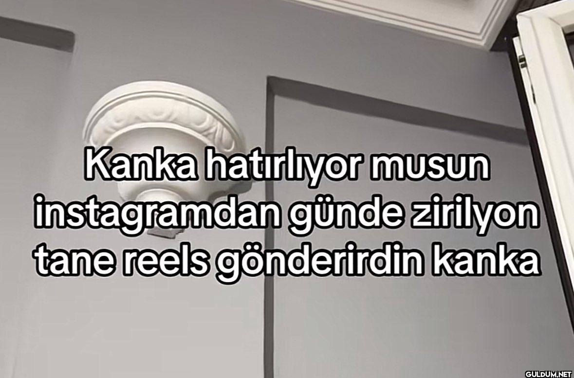 Kanka hatırlıyor musun...