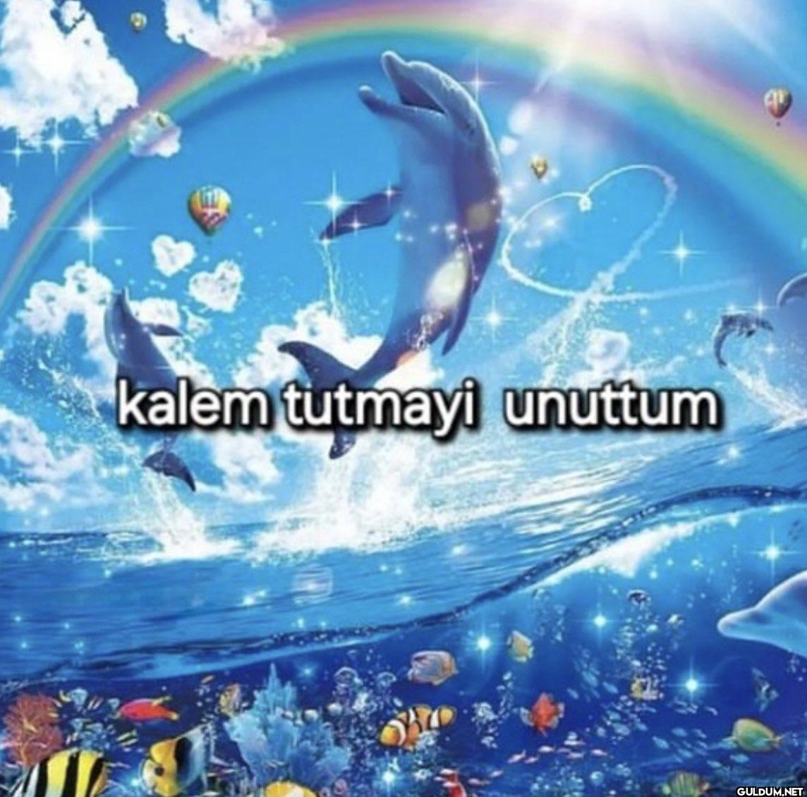 kalem tutmayi unuttum